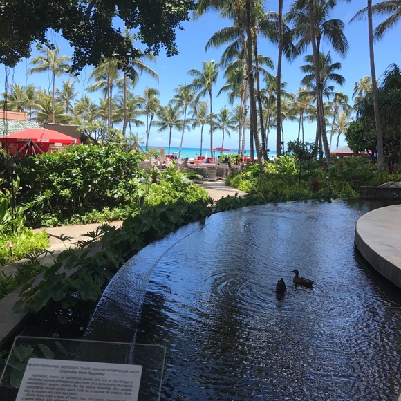 Meet your Posher, Tenaya - Picture 9 of 15